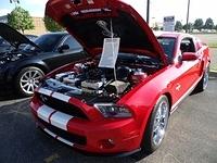 7714 (43)
