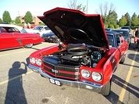72715 (117)