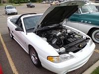 6815 (55)