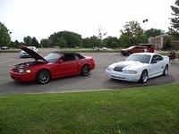 6115 (146)