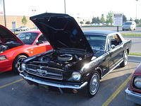Aug_8_06_082