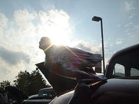 July_3_06_074