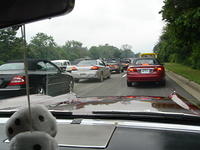 2006_Dream_Cruise_008