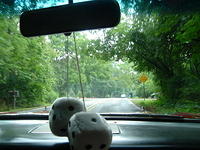 2006_Dream_Cruise_009